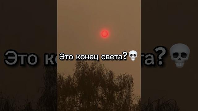 Мое последнее видео?#алапаевск #закулисье #рек #tiktok #страх #конец #shorts #shorts #first #урал Мое последнее видео?#алапаевск #закулисье #рек #tiktok #страх #конец #shorts #shorts #first #урал
