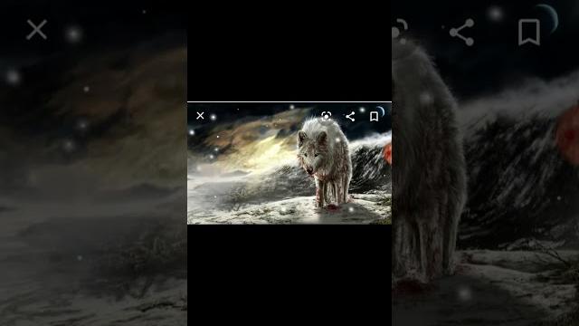 мини клип про волков (одиночество) мини клип про волков (одиночество)