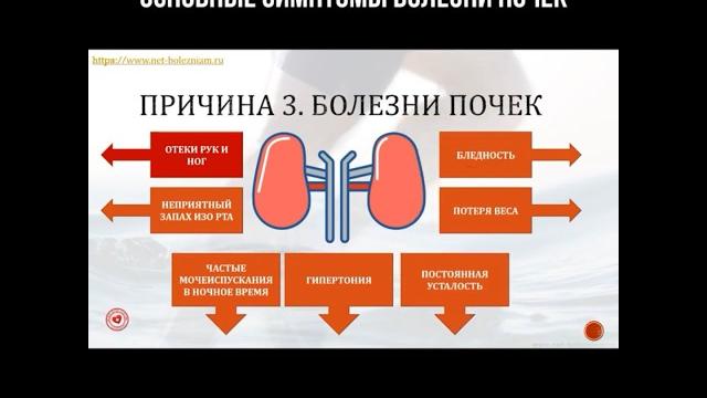 Основные симптомы болезни почек Основные симптомы болезни почек