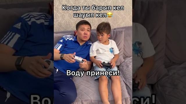 Тигр #семья #жаналиевтертеатры Тигр #семья #жаналиевтертеатры
