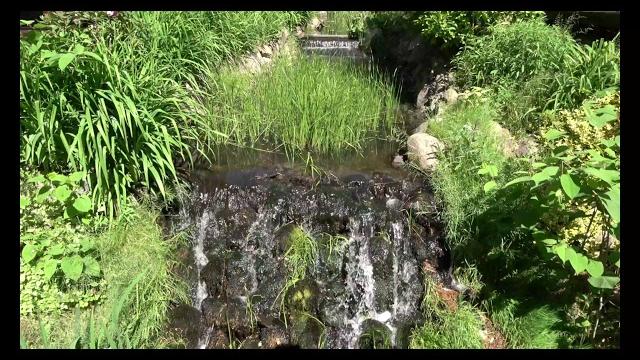 Природа 4к видео / Nature 4k video Природа 4к видео / Nature 4k video
