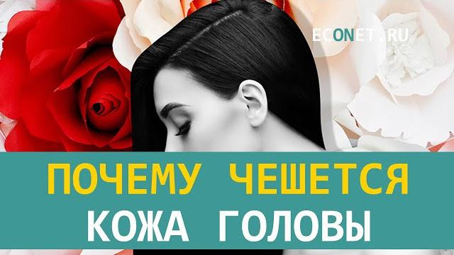 Почему чешется кожа головы | ECONET.RU Почему чешется кожа головы | ECONET.RU