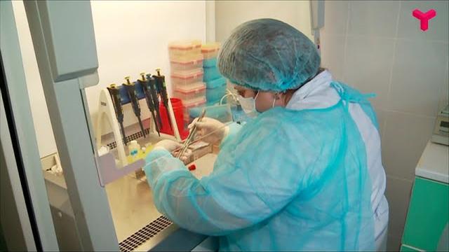 Как проявляется клещевой боррелиоз Как проявляется клещевой боррелиоз
