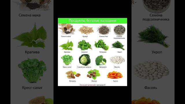 Продукты богатые кальцием Продукты богатые кальцием