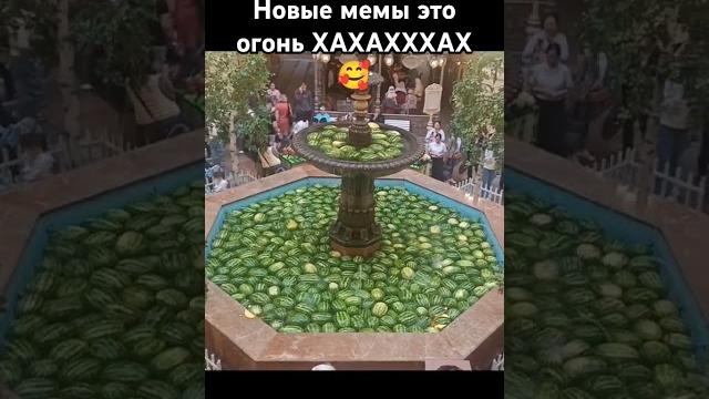 ХАХАХАХА ОРУ#арбуз#привет#перни#арбузы#мем#новыемемы#прикол#поржать#хаха#смешное#мемасик#арбузпривет ХАХАХАХА ОРУ#арбуз#привет#перни#арбузы#мем#новыемемы#прикол#поржать#хаха#смешное#мемасик#арбузпривет