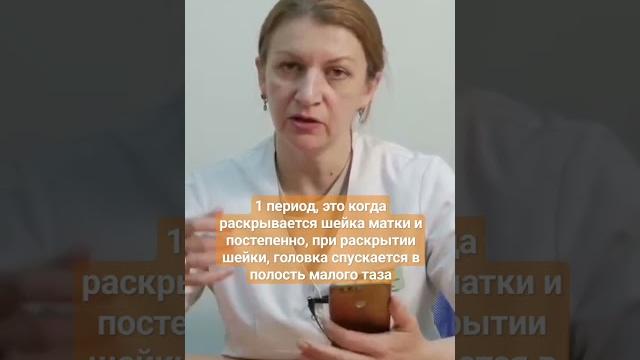 Роды. 1 период родов. Рассказывает врач акушер-гинеколог ЦИР Дементьева С.Н. #цир #акушерство #роды Роды. 1 период родов. Рассказывает врач акушер-гинеколог ЦИР Дементьева С.Н. #цир #акушерство #роды