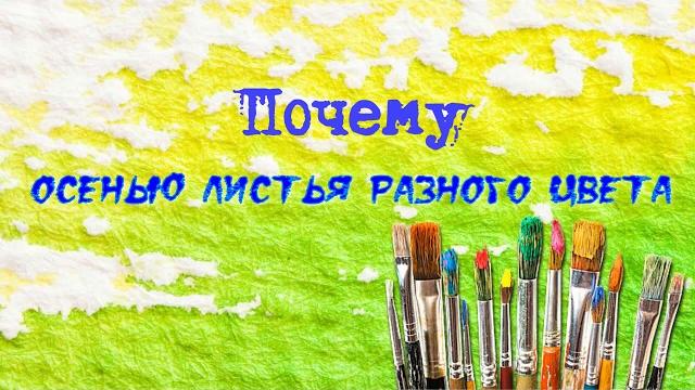Почему листья осенью желтеют? Почему листья осенью желтеют?