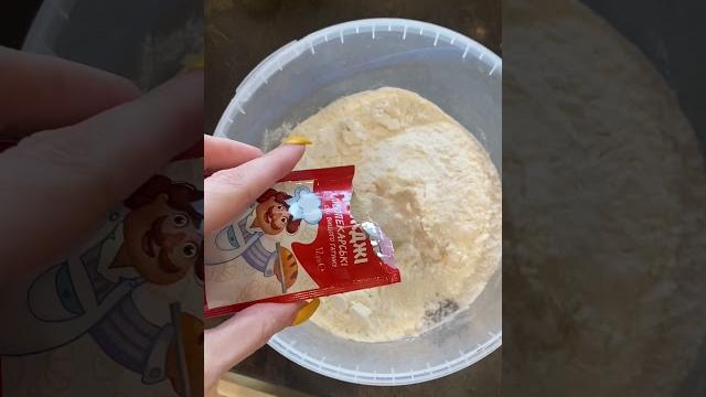 Tik-Tok: готовим хачапури с мясом Tik-Tok: готовим хачапури с мясом