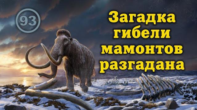 Мамонтов убила не космическая катастрофа, не смена полюсов и не первобытные люди… Фильм 93 Мамонтов убила не космическая катастрофа, не смена полюсов и не первобытные люди… Фильм 93