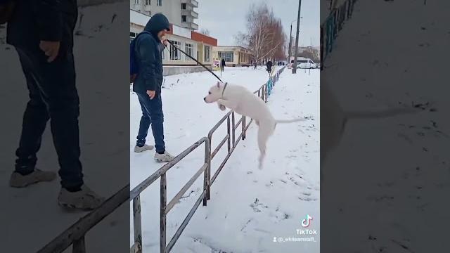 пусть думают,что мы спортсмены пусть думают,что мы спортсмены