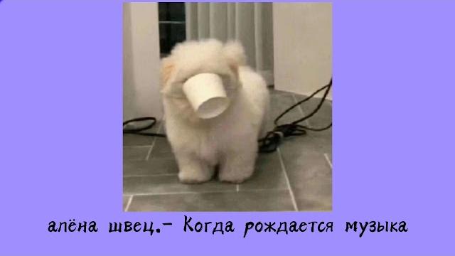 алёна швец.- Когда рождается музыка алёна швец.- Когда рождается музыка