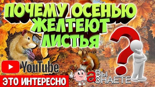 ПОЧЕМУ ОСЕНЬЮ ЖЕЛТЕЮТ ЛИСТЬЯ? ПОЧЕМУ ОСЕНЬЮ ЖЕЛТЕЮТ ЛИСТЬЯ?