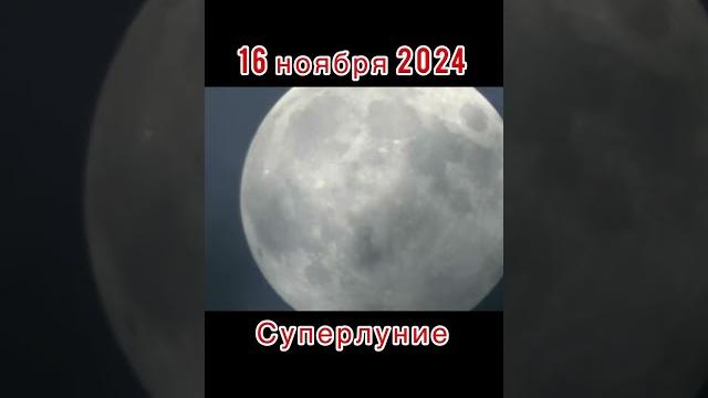 Суперлуние в нашей матрице 16 ноября 2024 года #sorts #матрица #матрицасудьбы #слипер #суперлуние Суперлуние в нашей матрице 16 ноября 2024 года #sorts #матрица #матрицасудьбы #слипер #суперлуние