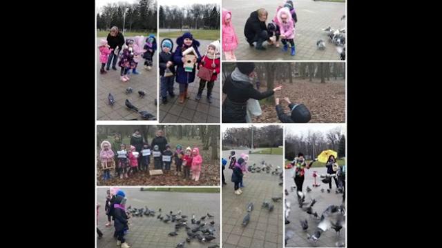 День эколога День эколога