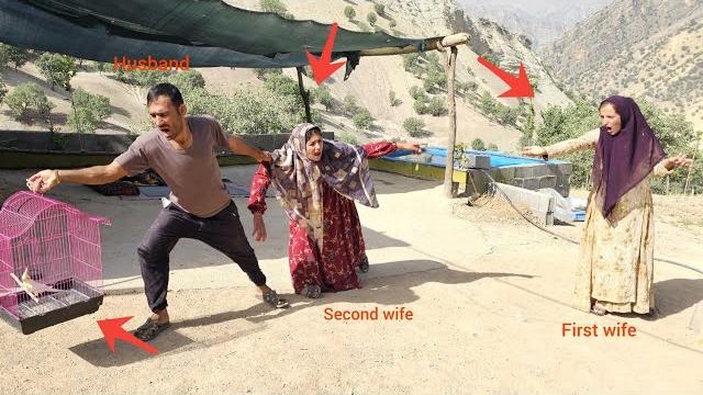 The Dutch bride's bird escapes and the husband is angry with the second lady for her bad behavior. The Dutch bride's bird escapes and the husband is angry with the second lady for her bad behavior.