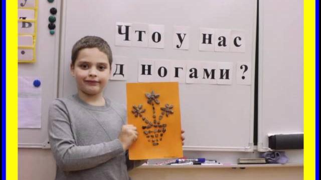 ПРОЕКТ ЧТО У НАС ПОД НОГАМИ ПРОЕКТ ЧТО У НАС ПОД НОГАМИ
