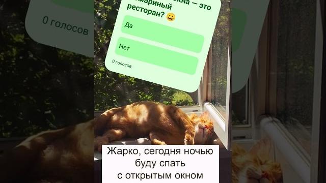 а может ресторан? почти анекдот смешные картинки а может ресторан? почти анекдот смешные картинки