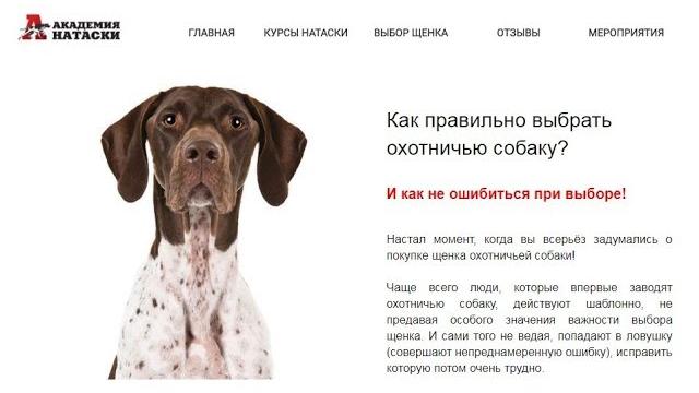 Не покупай охотничью собаку пока не посмотришь этот вебинар! Не покупай охотничью собаку пока не посмотришь этот вебинар!