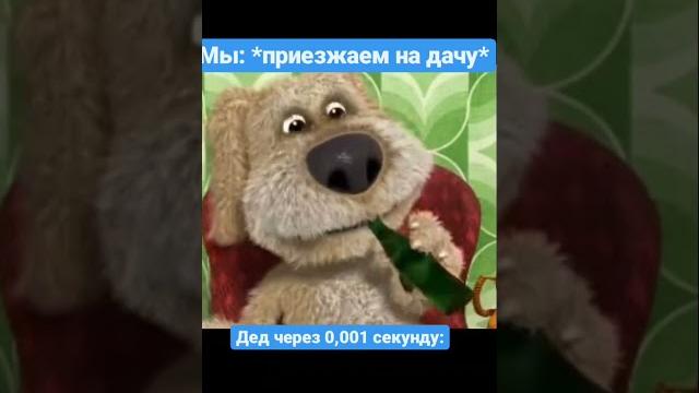 каждый день новое видео #шампанов #рек #рекомендации #мемы #бравлстарс #мем #пубг #жиза #леха каждый день новое видео #шампанов #рек #рекомендации #мемы #бравлстарс #мем #пубг #жиза #леха