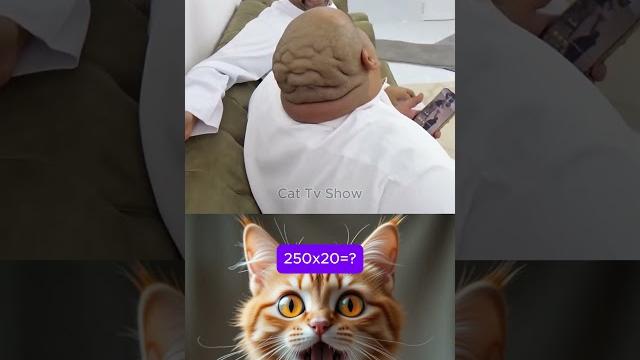 give this video title (warning answer) #cat #meme #funny #dance give this video title (warning answer) #cat #meme #funny #dance