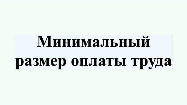 Минимальный размер оплаты труда Минимальный размер оплаты труда