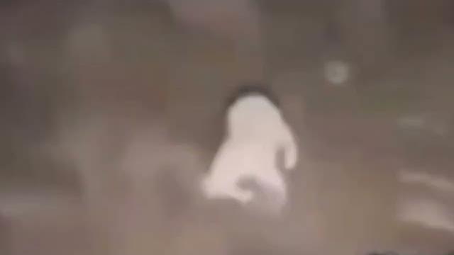 АААААА ЗА ДОНБАСС НАХ ( шаблон для мемов) АААААА ЗА ДОНБАСС НАХ ( шаблон для мемов)