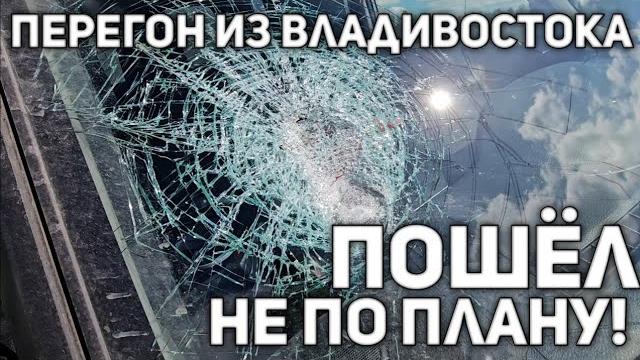 ЖЕСТЬ! САМОЕ СТРАШНОЕ В МОЁМ ПЕРЕГОНЕ((( ЖЕСТЬ! САМОЕ СТРАШНОЕ В МОЁМ ПЕРЕГОНЕ(((