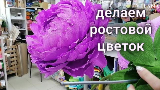 Ростовой цветок из гофрированной бумаги Ростовой цветок из гофрированной бумаги