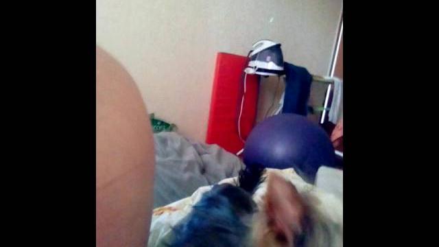 Прикол с йорком Прикол с йорком