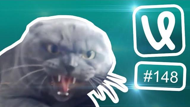 Лучшие ролики недели #148 Как голосовать на выборах? Лучшие ролики недели #148 Как голосовать на выборах?
