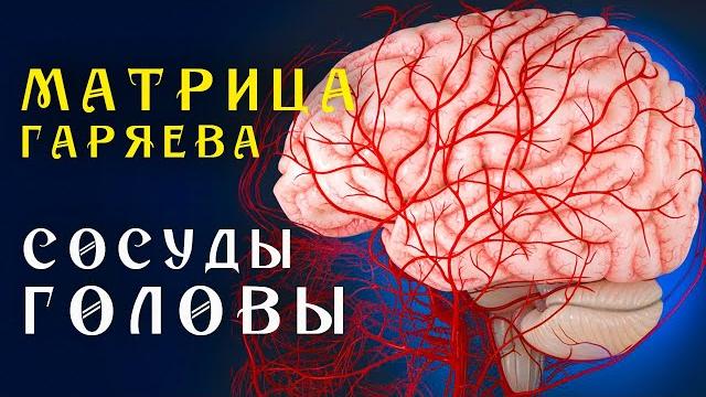 Матрица Гаряева Полная Очистка Сосудов Головы ️ Квантовое Исцеление Сосудов Звуком Матрица Гаряева Полная Очистка Сосудов Головы ️ Квантовое Исцеление Сосудов Звуком