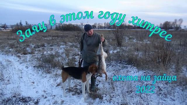 ЗАЯЦ В ЭТОМ ГОДУ ХИТРЕЕ!!! ОХОТА НА ЗАЙЦА 2022 ЗАЯЦ В ЭТОМ ГОДУ ХИТРЕЕ!!! ОХОТА НА ЗАЙЦА 2022