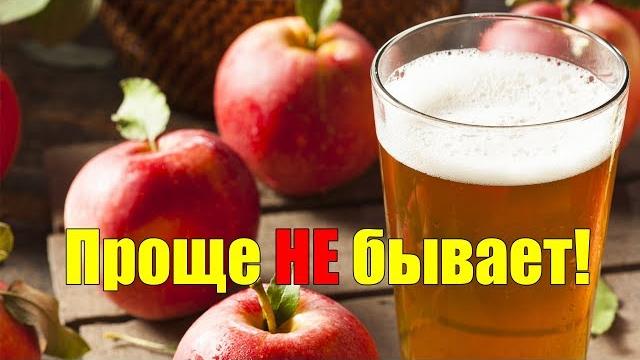 Домашнее вино из яблок СИДР СВОИМИ РУКАМИ Домашнее вино из яблок СИДР СВОИМИ РУКАМИ