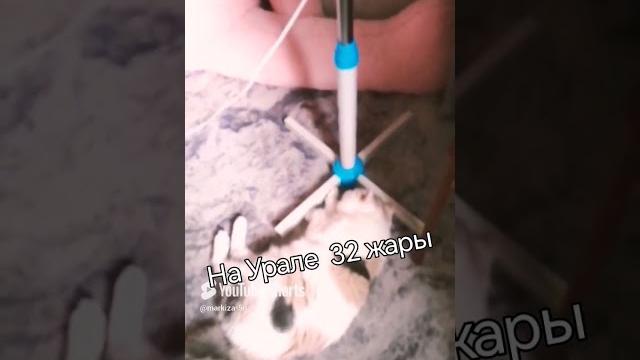 #Жара#Юморок #Жара#Юморок