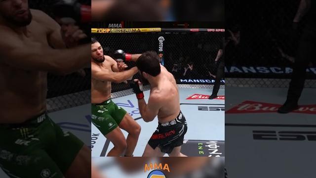 Magomed Ankalaev CALMLY DISMANTLING Johnny Walker Magomed Ankalaev CALMLY DISMANTLING Johnny Walker