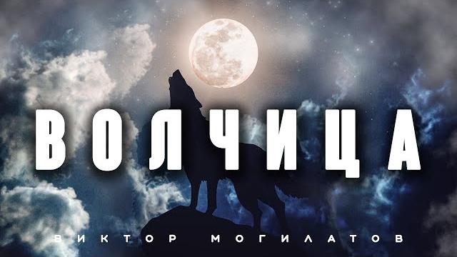 ВОЛЧИЦА | Новинка 2023 | Виктор Могилатов ВОЛЧИЦА | Новинка 2023 | Виктор Могилатов