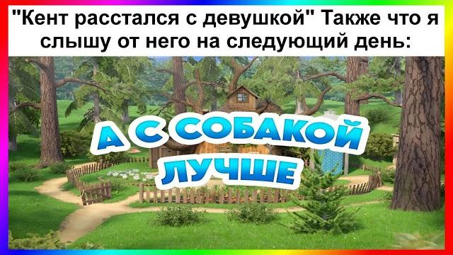 тик ток стал собакой | подборка мемов тик ток стал собакой | подборка мемов