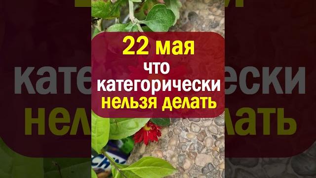 22 мая народный праздник день Николая Чудотворца, Никола Вешний. Что нельзя делать. Народные приметы 22 мая народный праздник день Николая Чудотворца, Никола Вешний. Что нельзя делать. Народные приметы