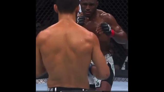 Khamzat vs kamaru usman highlights Khamzat vs kamaru usman highlights