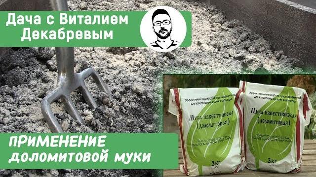 ДОЛОМИТОВАЯ МУКА. КАК И ЗАЧЕМ ВНОСИТЬ ЕЕ В ПОЧВУ? ДОЛОМИТОВАЯ МУКА. КАК И ЗАЧЕМ ВНОСИТЬ ЕЕ В ПОЧВУ?