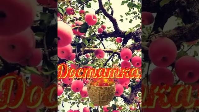 #ЯБЛОЧНЫЙ СПАС КРАСИВОЕ ПОЗДРАВЛЕНИЕ! #ЯБЛОЧНЫЙ СПАС КРАСИВОЕ ПОЗДРАВЛЕНИЕ!