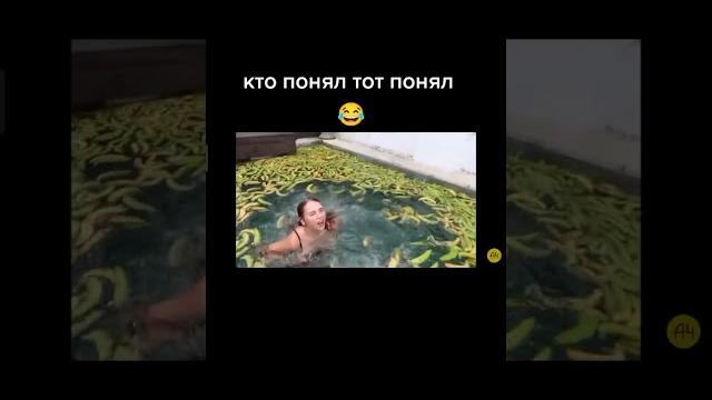 ПОШЛЫЕ ШУТКИ ВЛАДА А4 #а4 #глент #кобяков #shorts ПОШЛЫЕ ШУТКИ ВЛАДА А4 #а4 #глент #кобяков #shorts