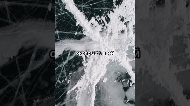 Байкал — самое глубокое озеро в мире #Байкал #глубокоеозеро #природа #вода #экология #факты Байкал — самое глубокое озеро в мире #Байкал #глубокоеозеро #природа #вода #экология #факты