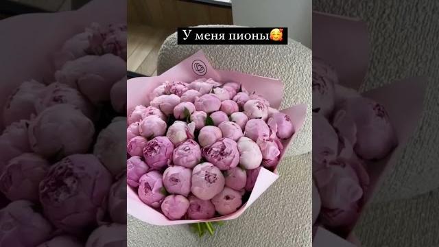 У меня камыш У меня камыш
