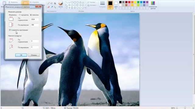 Как уменьшить размер фотографии? Как уменьшить размер фотографии?