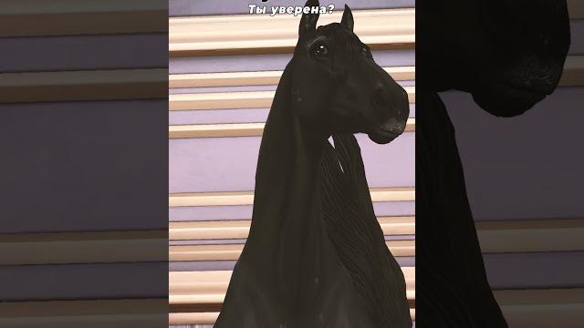#sso #horses #horse #starstablehorses #starstable #starstableonline #starstableonlinehorses #sso #horses #horse #starstablehorses #starstable #starstableonline #starstableonlinehorses
