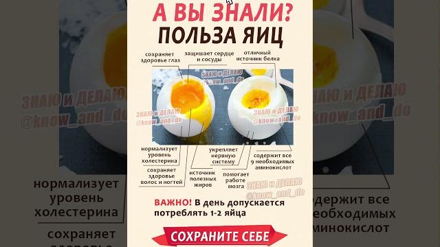Яйца польза и вред куриных яиц для организма мужчин и женщин Питание от "Знаю и Делаю" 25.10.23 Яйца польза и вред куриных яиц для организма мужчин и женщин Питание от "Знаю и Делаю" 25.10.23