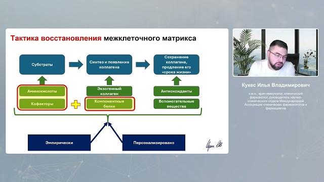 Нарушения метаболизма коллагена. Кто виноват и что делать? HYALURID, CELL-PROTECT, EFFIDERM GOMMES. Нарушения метаболизма коллагена. Кто виноват и что делать? HYALURID, CELL-PROTECT, EFFIDERM GOMMES.