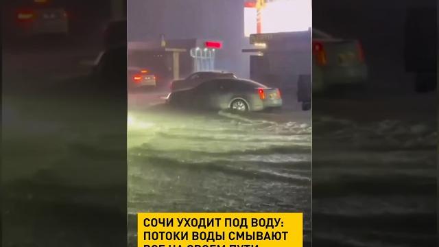 Сочи уходит под воду Сочи уходит под воду