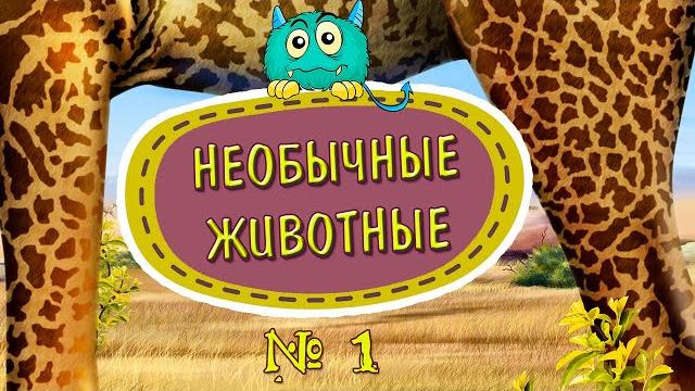 САМЫЕ НЕОБЫЧНЫЕ ЖИВОТНЫЕ МИРА видео для детей САМЫЕ НЕОБЫЧНЫЕ ЖИВОТНЫЕ МИРА видео для детей